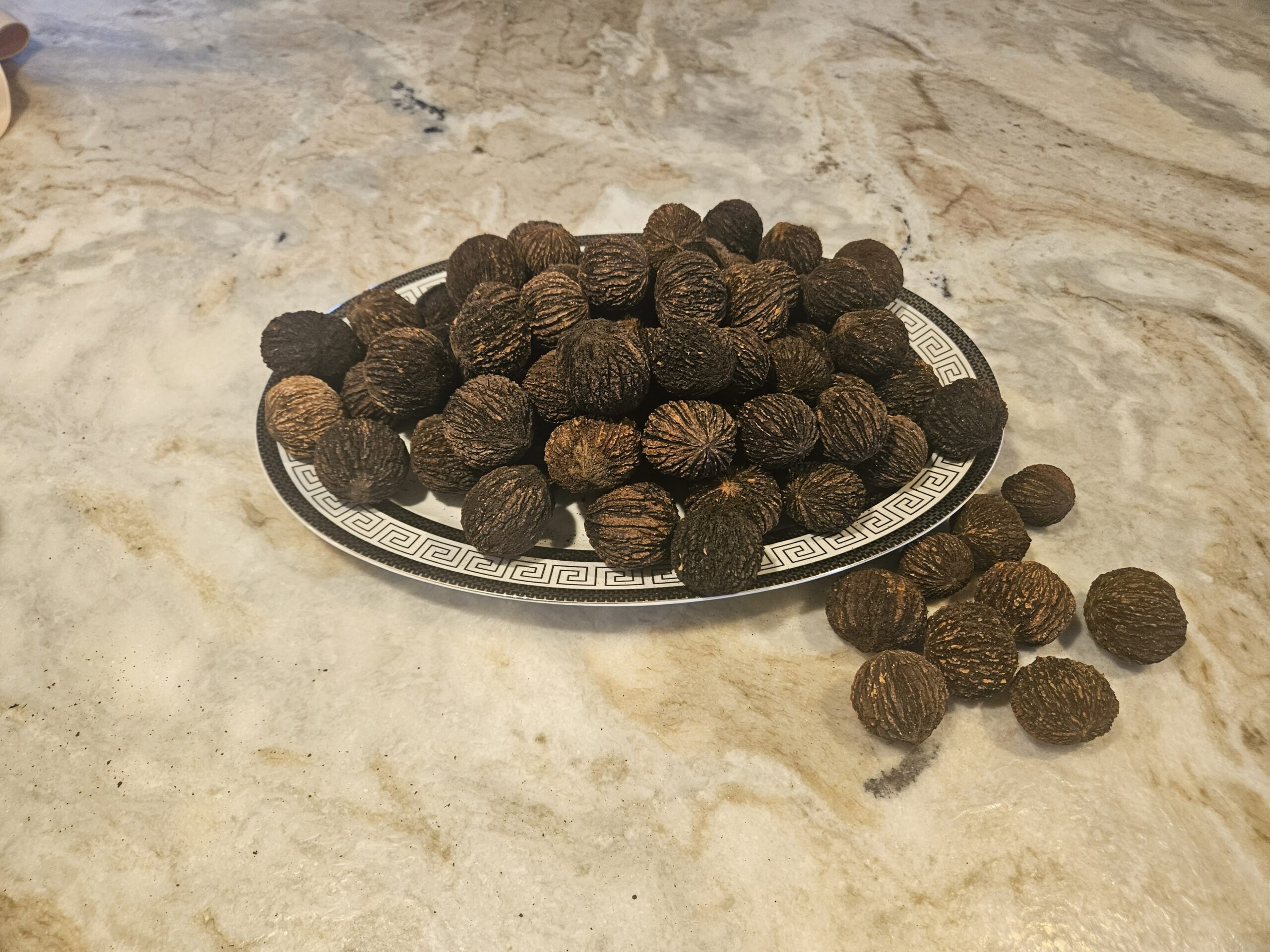 Black walnuts displayed on a plate