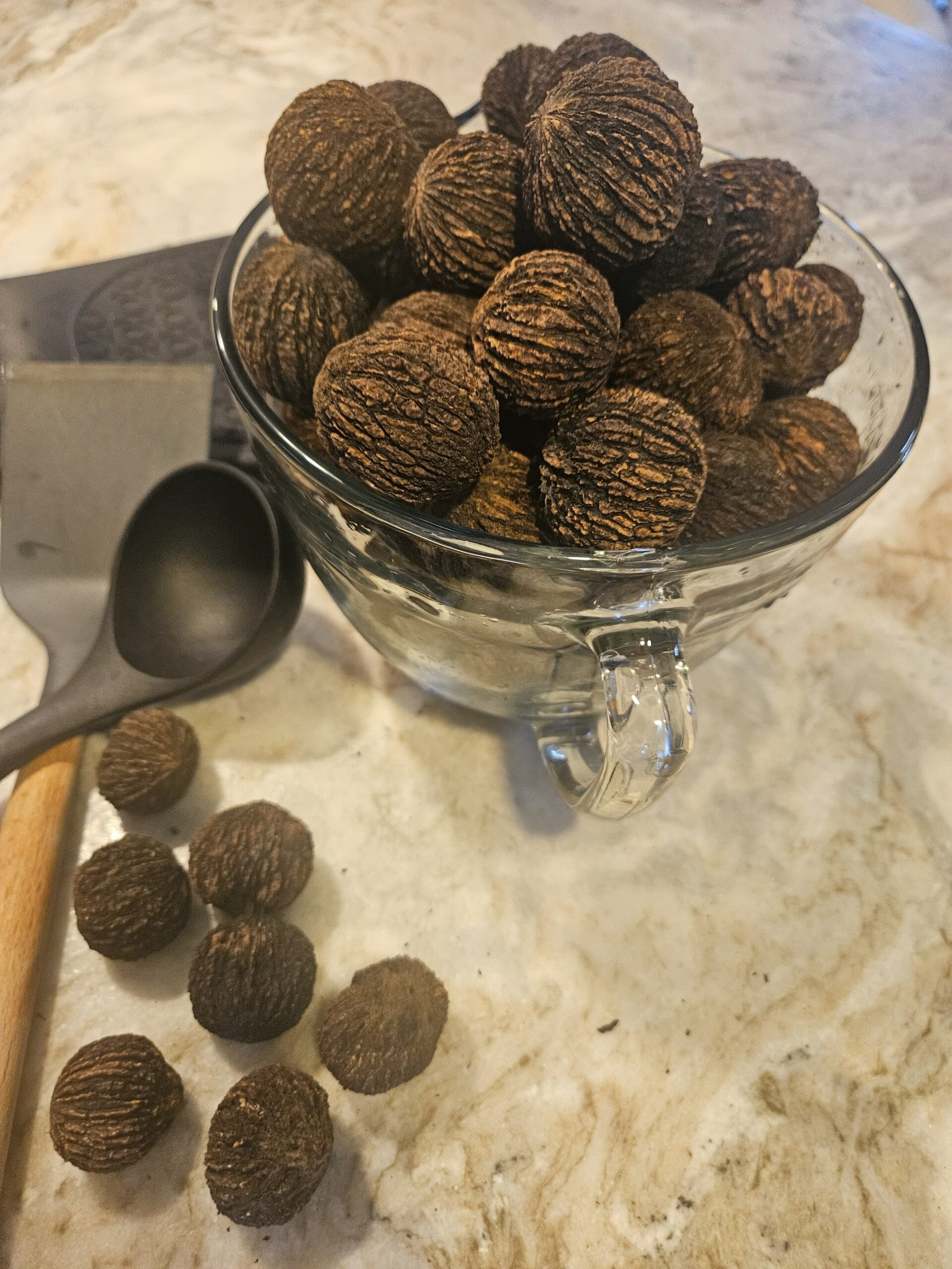 Black walnuts in a glass measuring bowl