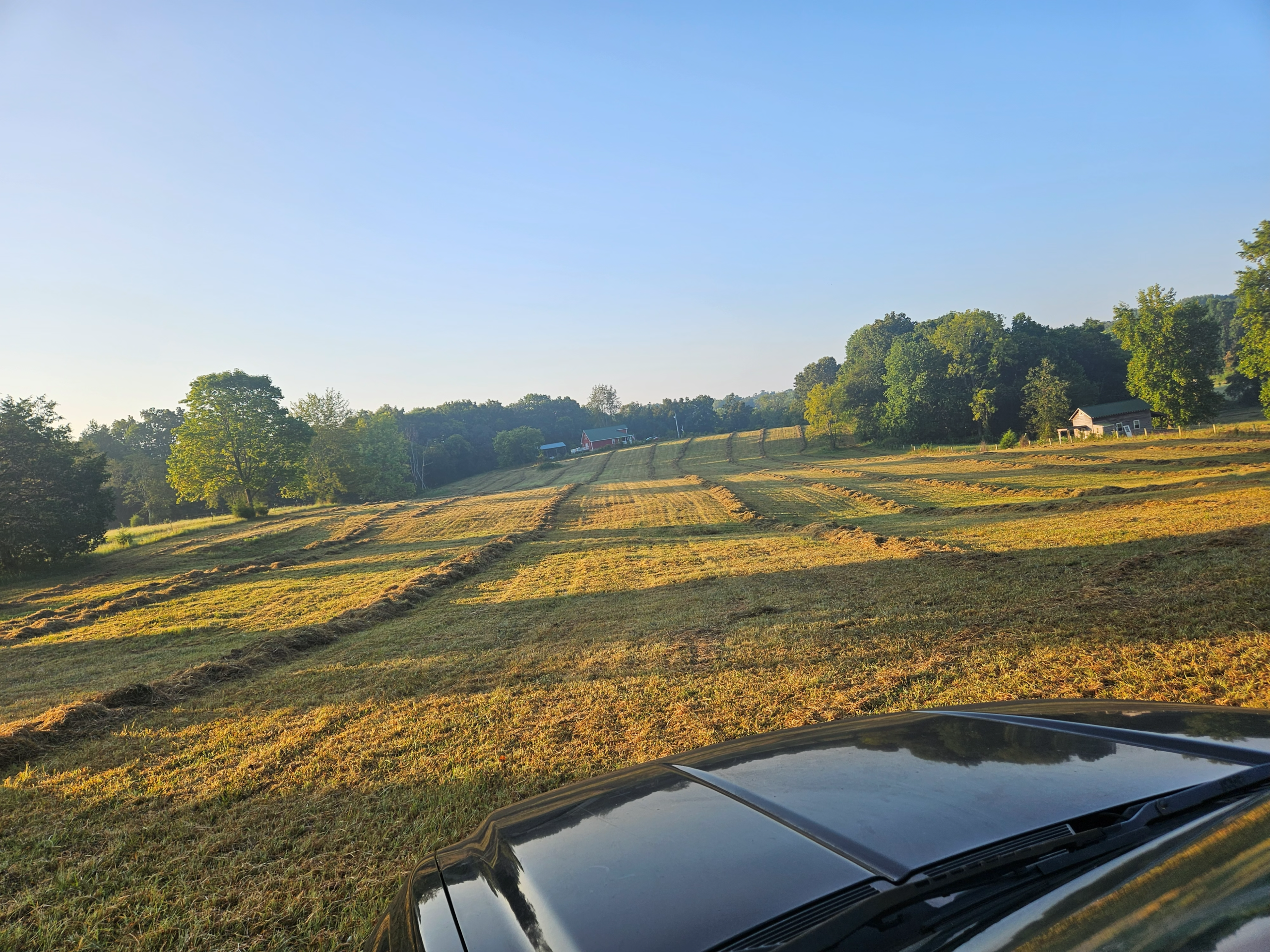 Raked sage and fescue hay rows across a large upper field at Retreat at Hope Farm in Springfield, Tennessee.