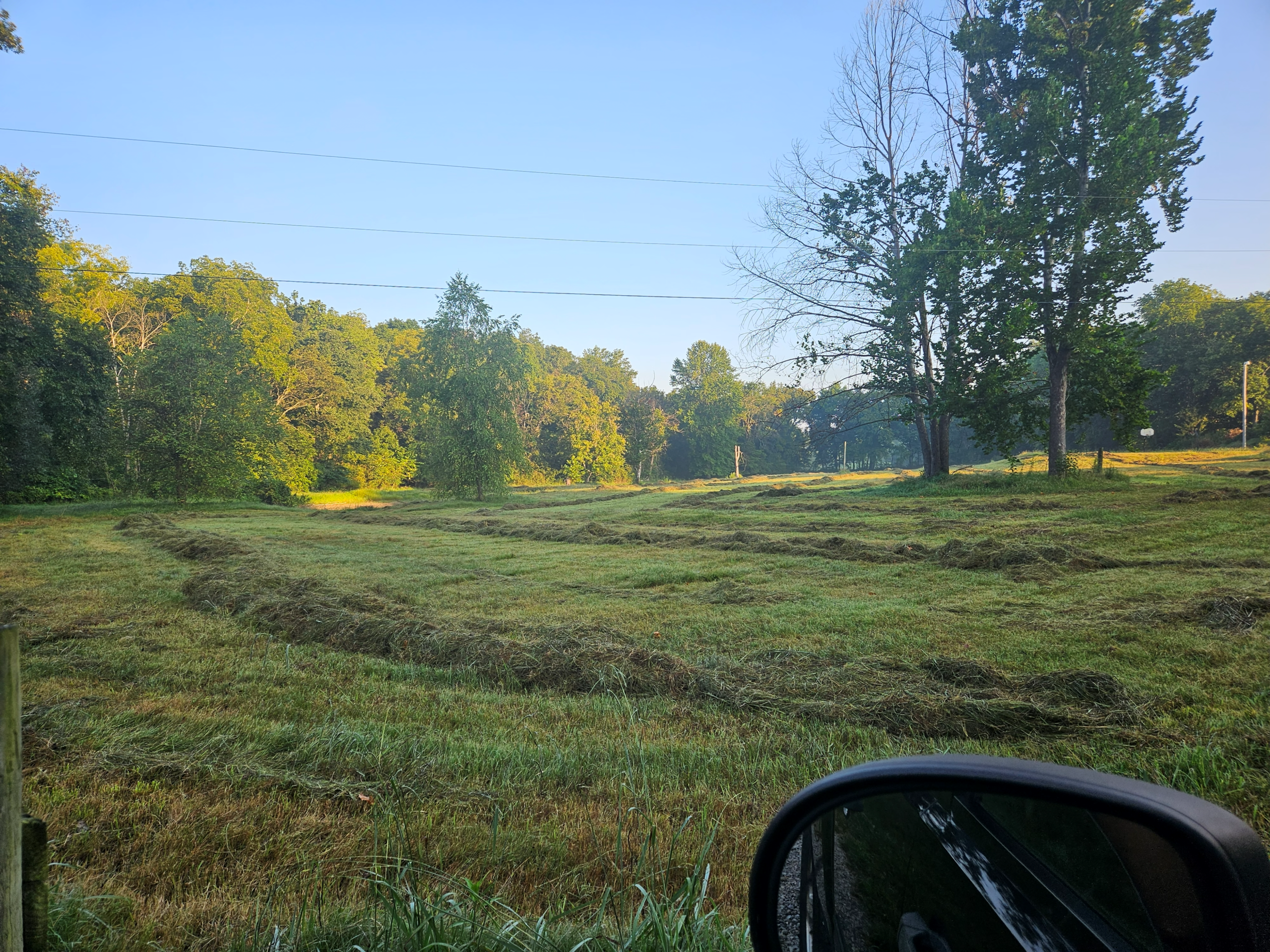 Raked orchardgrass and fescue hay rows in the lower field at Retreat at Hope Farm in Springfield, Tennessee.